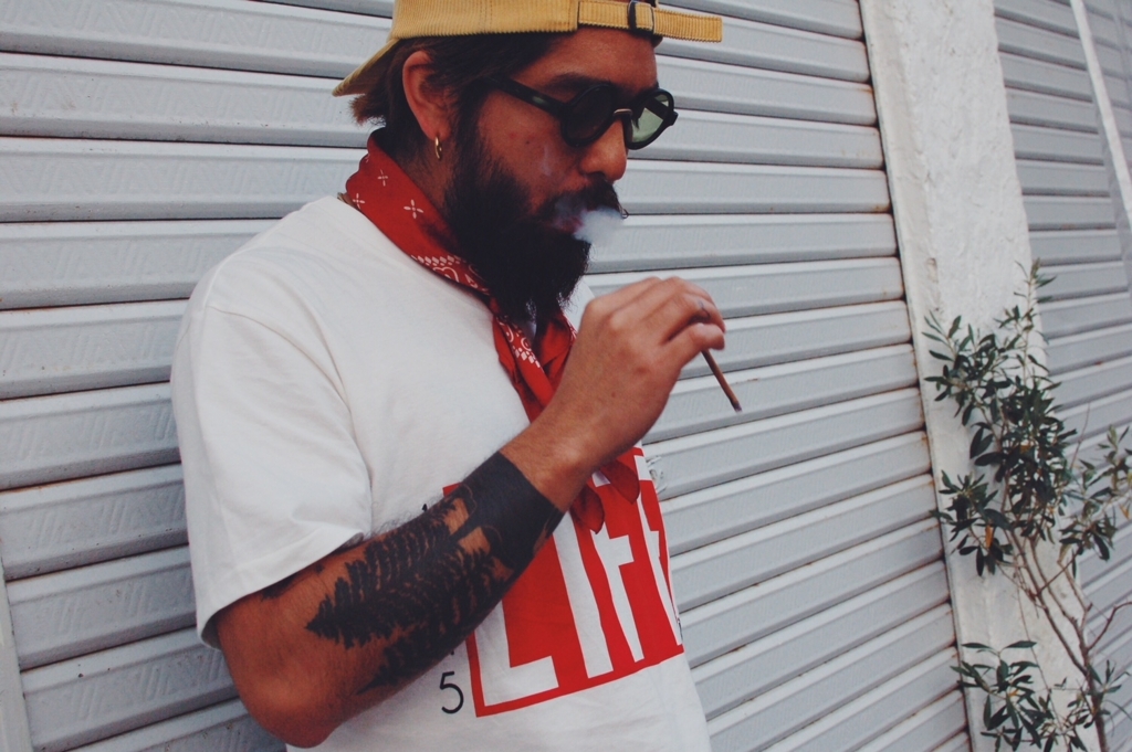 f:id:hynm_plant_soil:20180324202007j:plain