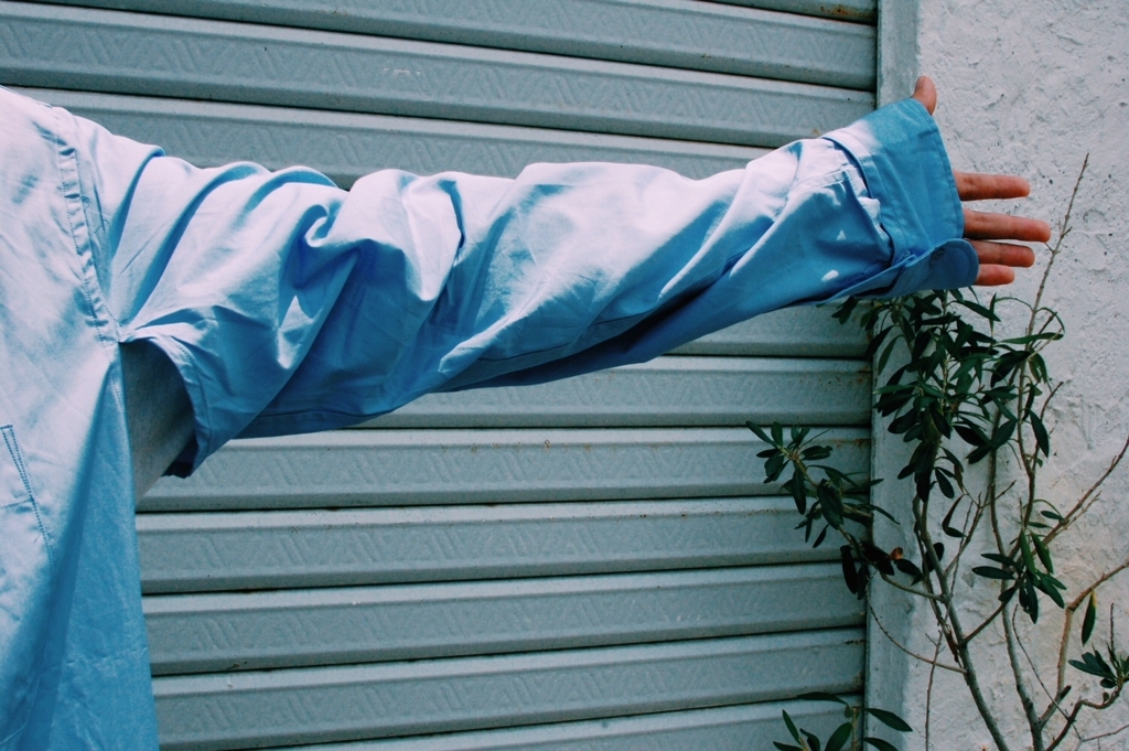 f:id:hynm_plant_soil:20180521144357j:plain