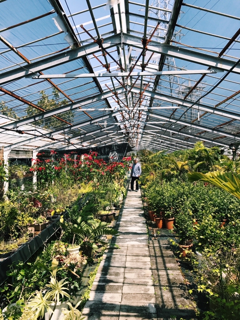 f:id:hynm_plant_soil:20180720180944j:plain