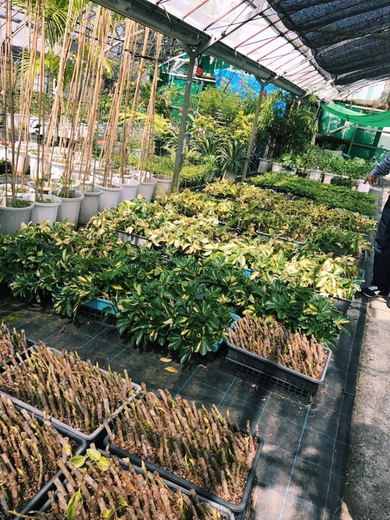 f:id:hynm_plant_soil:20180720182043j:plain
