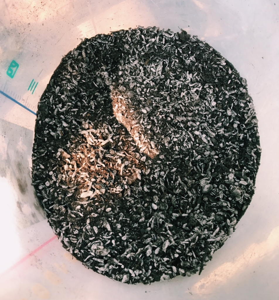 f:id:hynm_plant_soil:20180720184249j:plain