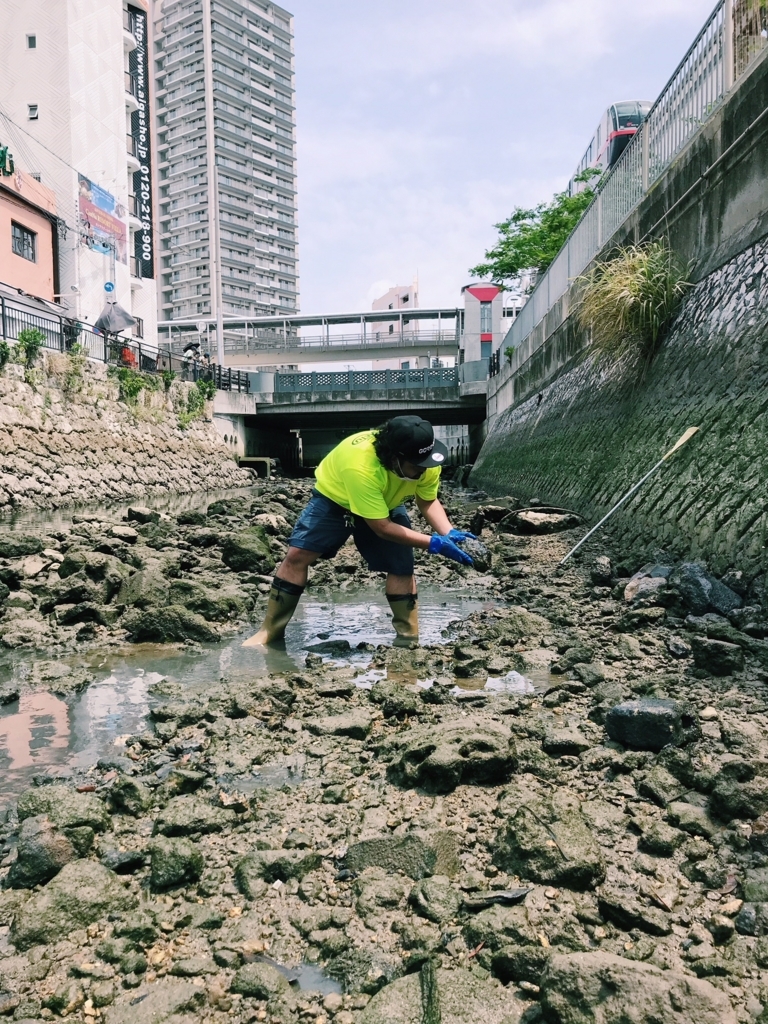f:id:hynm_plant_soil:20180729192340j:plain