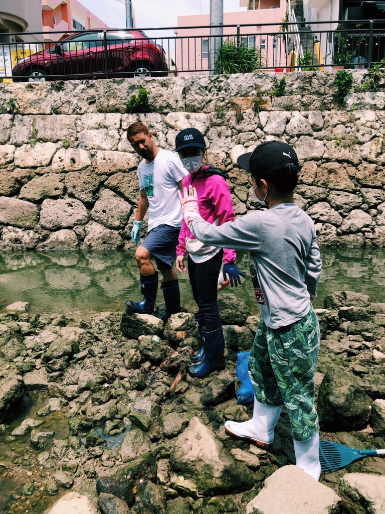 f:id:hynm_plant_soil:20180729193200j:plain