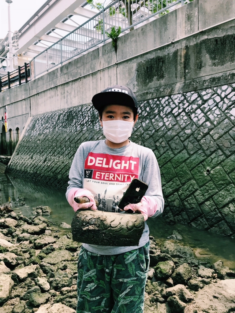 f:id:hynm_plant_soil:20180729195712j:plain
