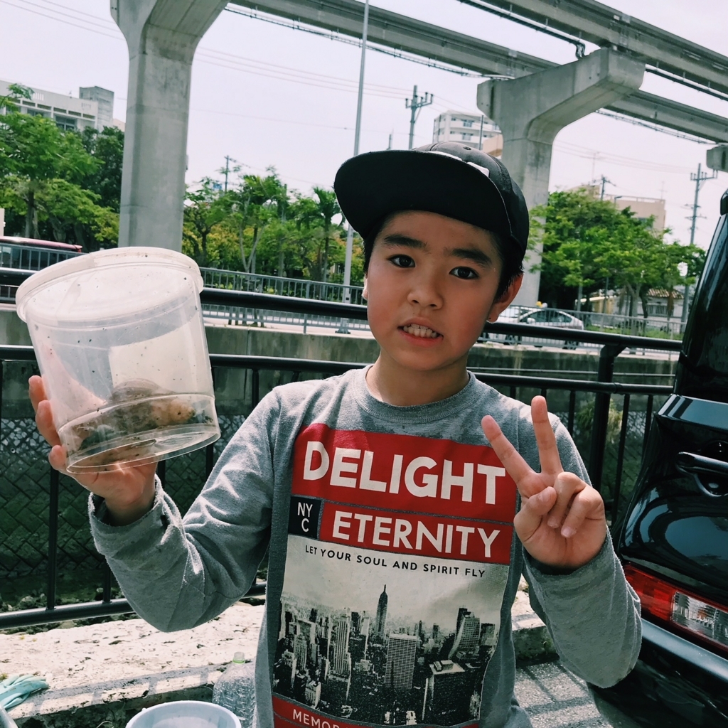 f:id:hynm_plant_soil:20180729195719j:plain