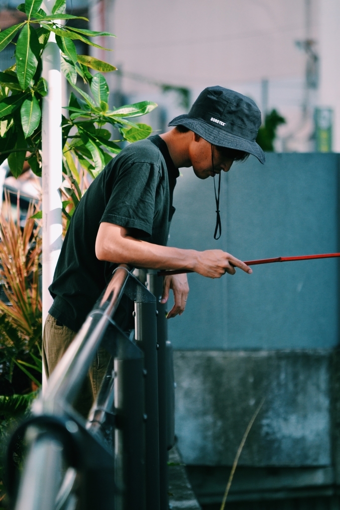 f:id:hynm_plant_soil:20180903172458j:plain