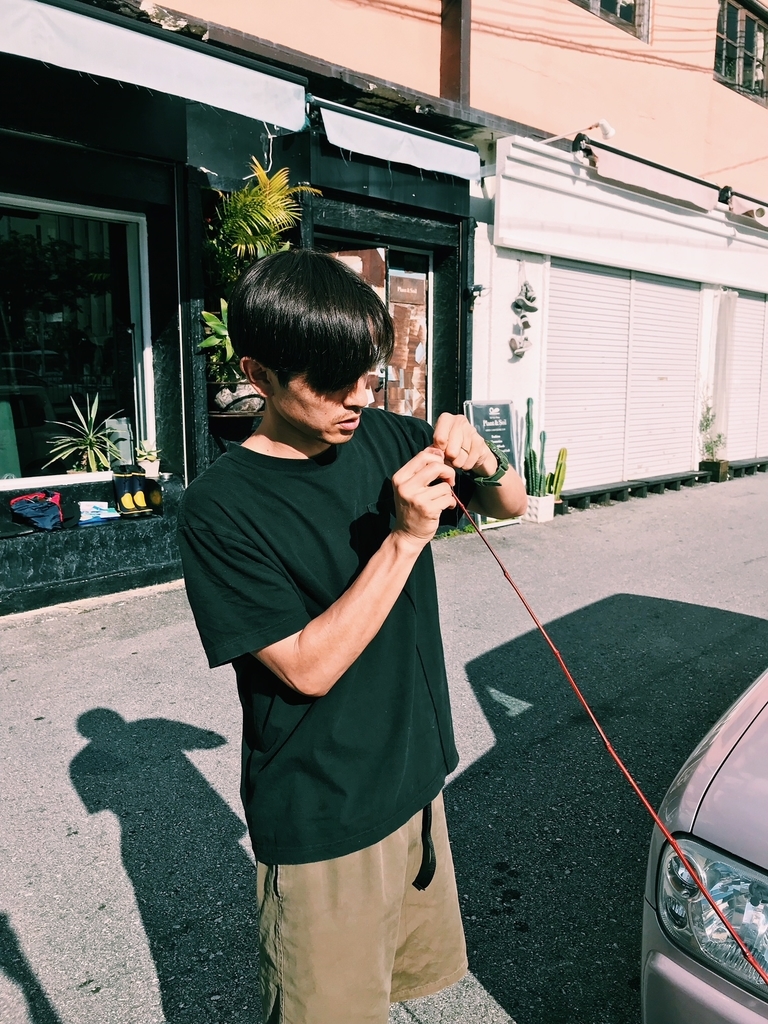 f:id:hynm_plant_soil:20180903175450j:plain