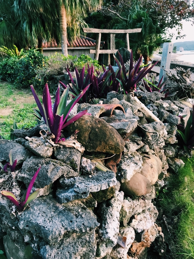 f:id:hynm_plant_soil:20181208124311j:plain