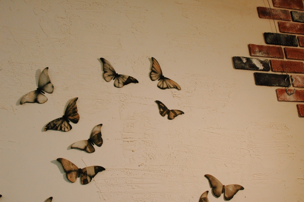 f:id:hynm_plant_soil:20181231123132j:plain f:id:hynm_plant_soil:20181231123132j:plain