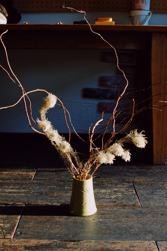f:id:hynm_plant_soil:20190202200114j:plain