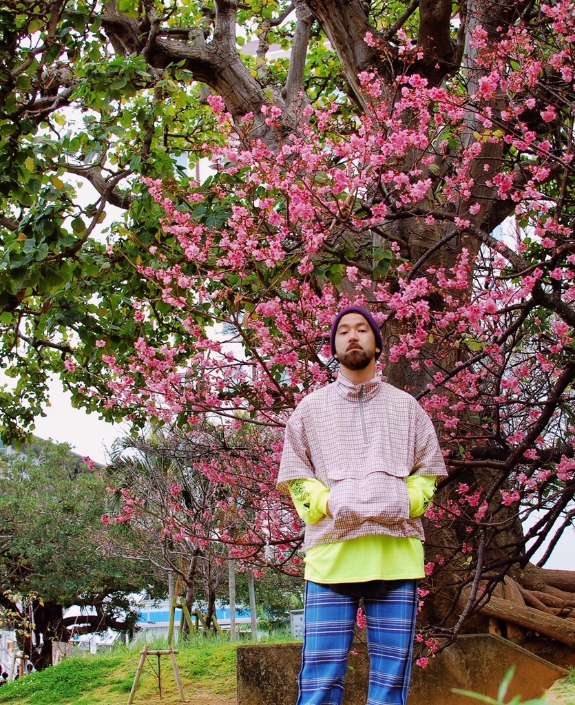 f:id:hynm_plant_soil:20190216202712j:plain