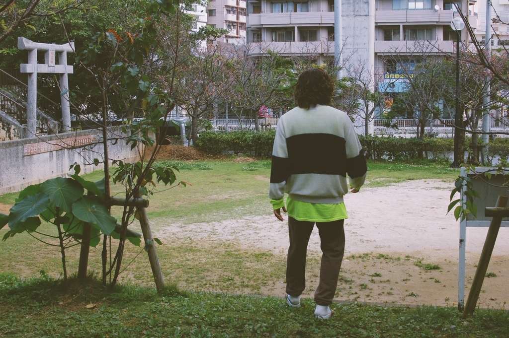 f:id:hynm_plant_soil:20190225153537j:plain