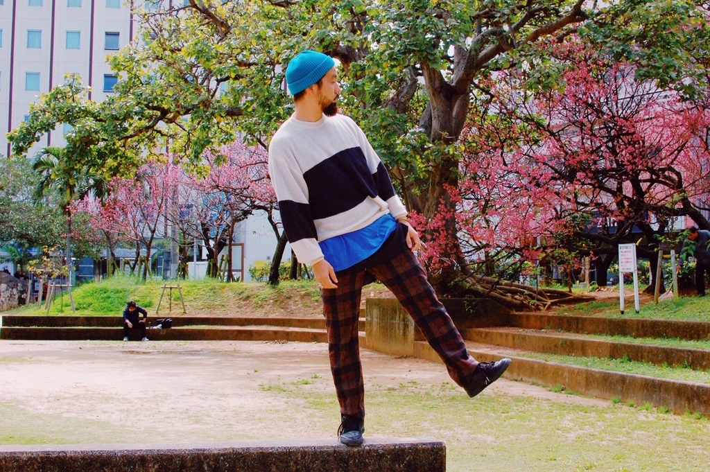 f:id:hynm_plant_soil:20190225161059j:plain