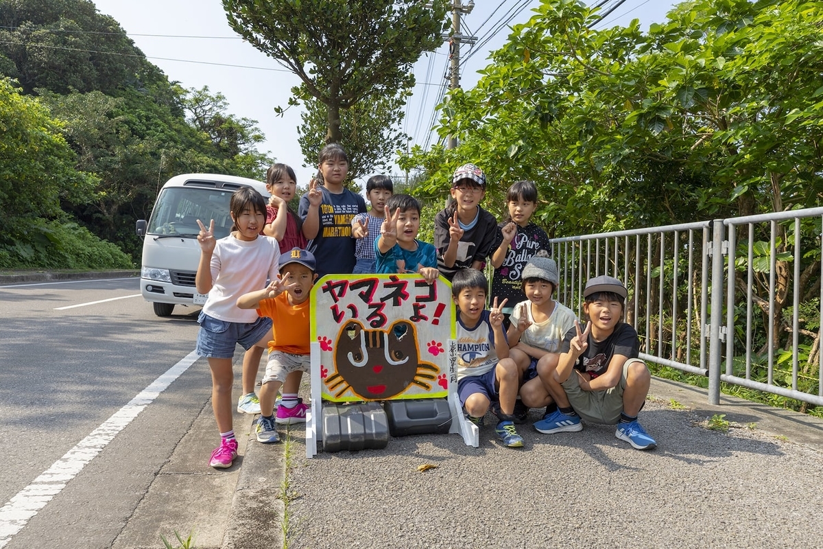 f:id:hynm_plant_soil:20190426172028j:plain