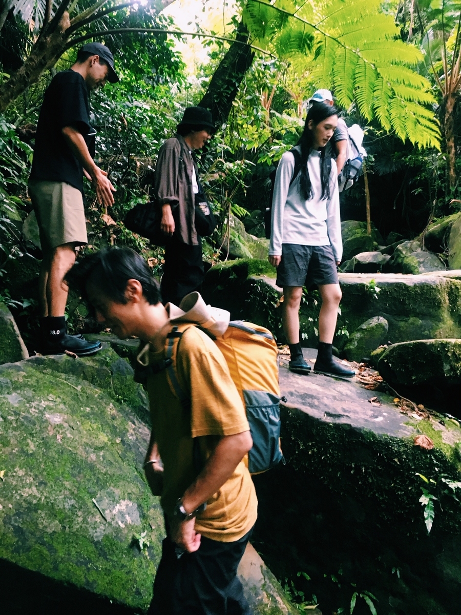 f:id:hynm_plant_soil:20190426174031j:plain