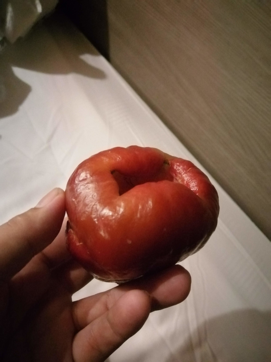 f:id:hynm_takeuchi:20190620081415j:plain f:id:hynm_takeuchi:20190620081415j:plain