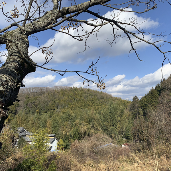 f:id:hynm_unplugged:20190307164400j:plain f:id:hynm_unplugged:20190307164400j:plain