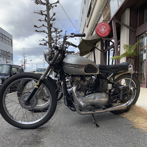f:id:hynm_unplugged:20190307165549j:plain f:id:hynm_unplugged:20190307165549j:plain
