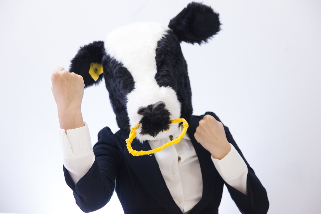 f:id:hyogohanabi:20181008144105j:plain