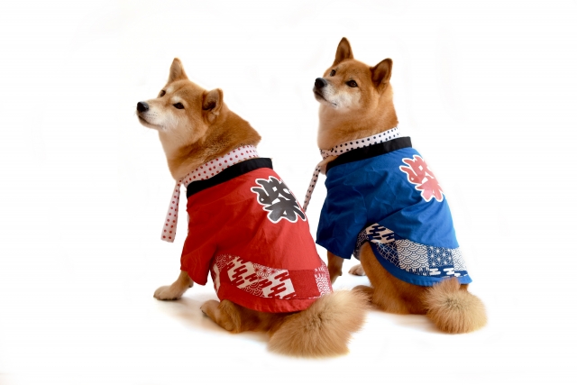 f:id:hyogohanabi:20181229225642j:plain