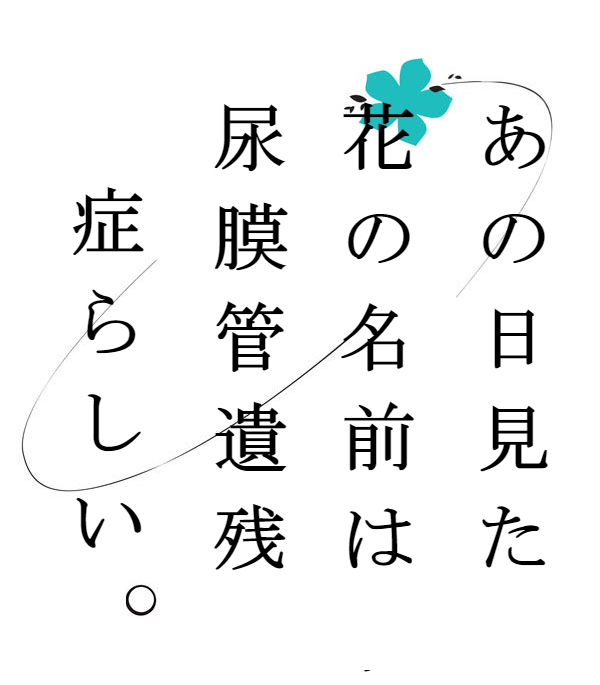 f:id:hyogokurumi:20180205225853p:plain f:id:hyogokurumi:20180205225853p:plain