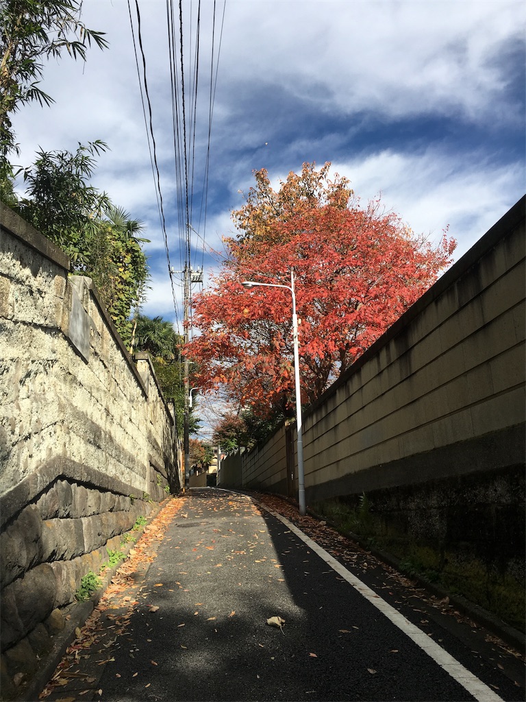 f:id:hyoshida115:20161202001305j:image