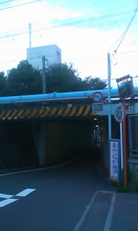 f:id:hyoshiok:20130615184742j:image