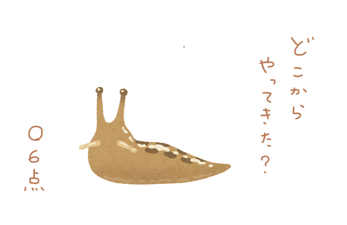 f:id:hyottoko2020:20210613012324p:plain