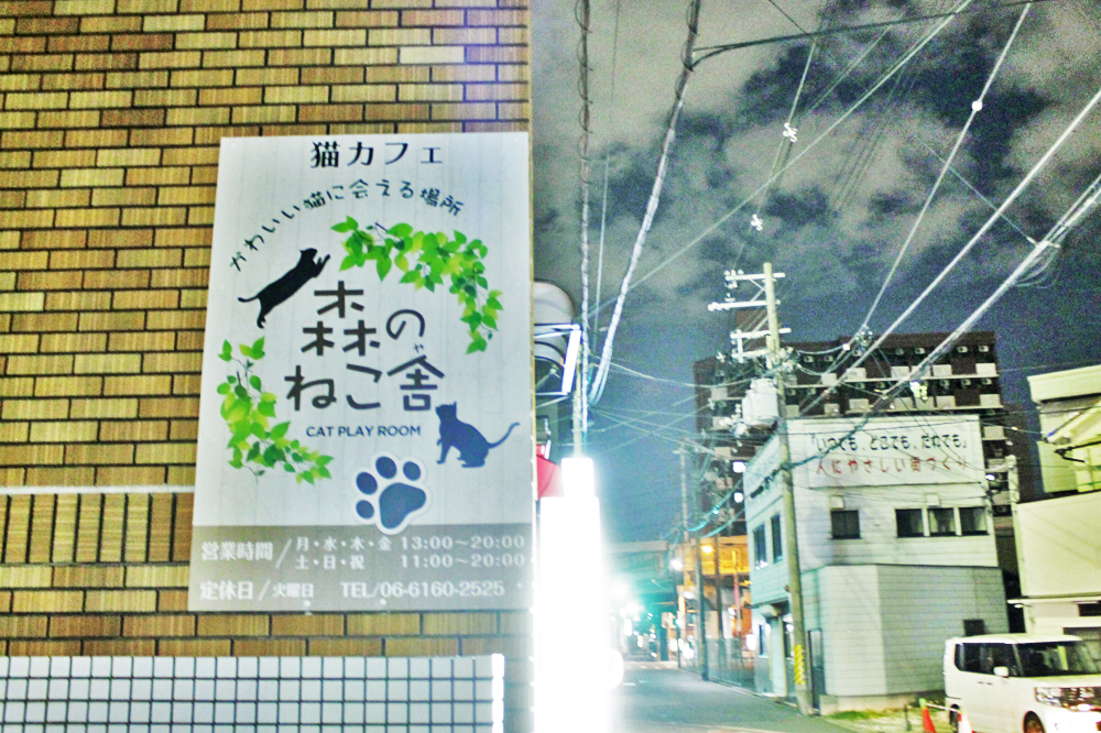 f:id:hyougonohanashi:20181124195903j:plain f:id:hyougonohanashi:20181124195903j:plain