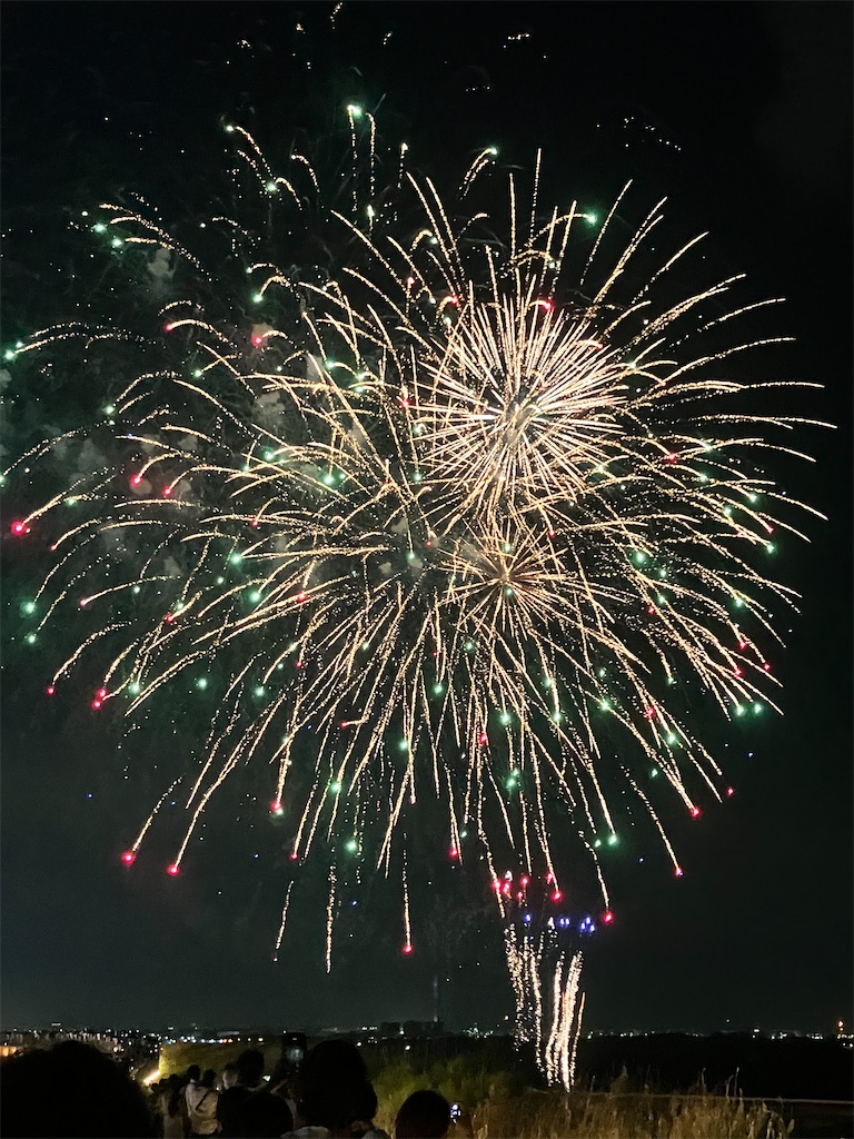 f:id:hyperkinoko:20250731211812j:image