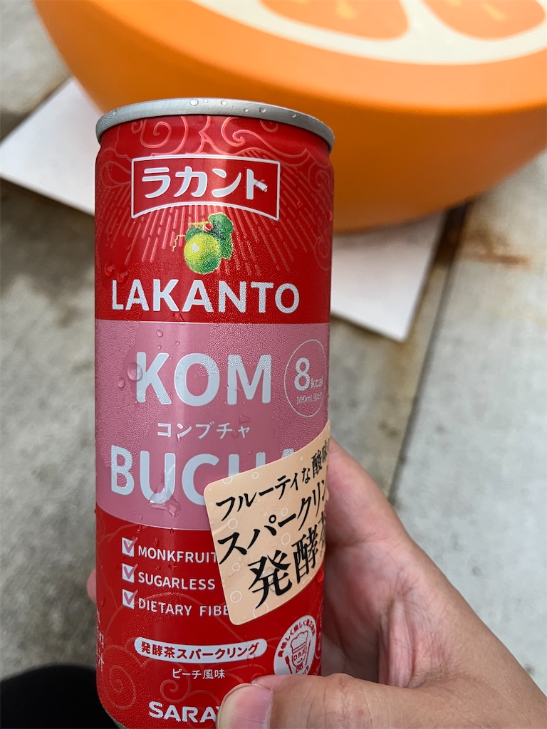 f:id:hyperkinoko:20250807222949j:image