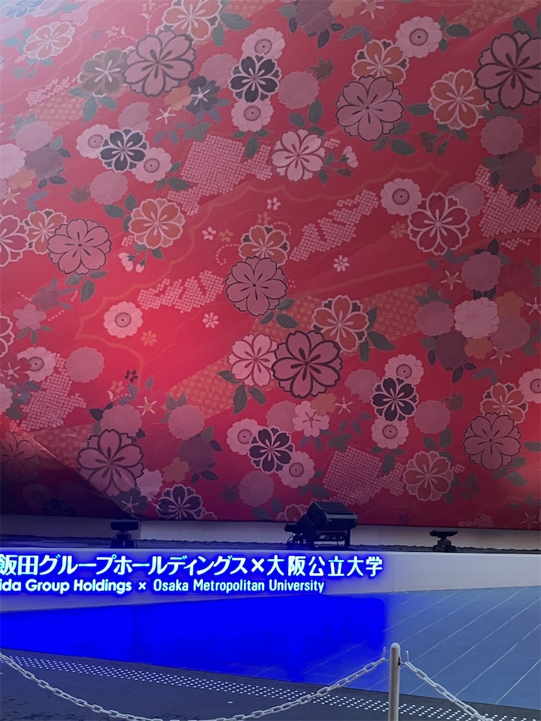 f:id:hyperkinoko:20250807224318j:image
