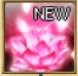 奥義・蓮花