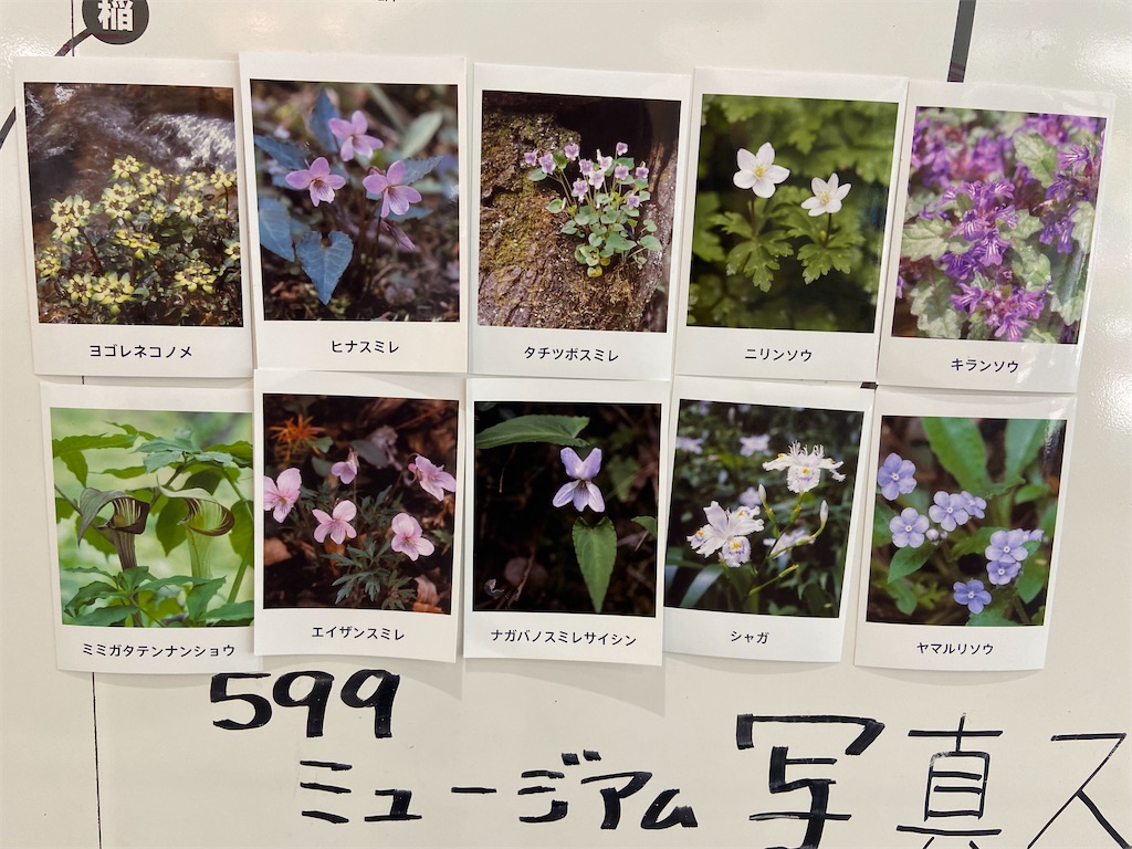 f:id:hyrominha:20240423210942j:image