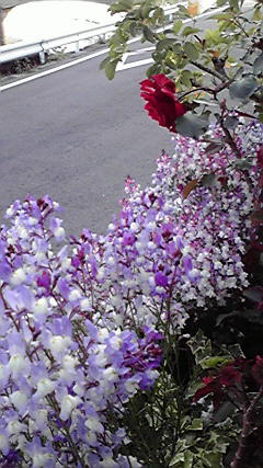 f:id:hyt0132:20140429163942j:image