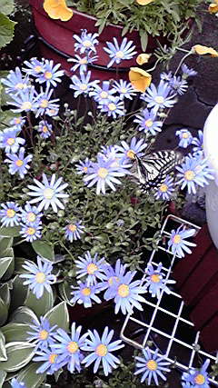f:id:hyt0132:20140509133424j:image