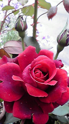 f:id:hyt0132:20140509133425j:image