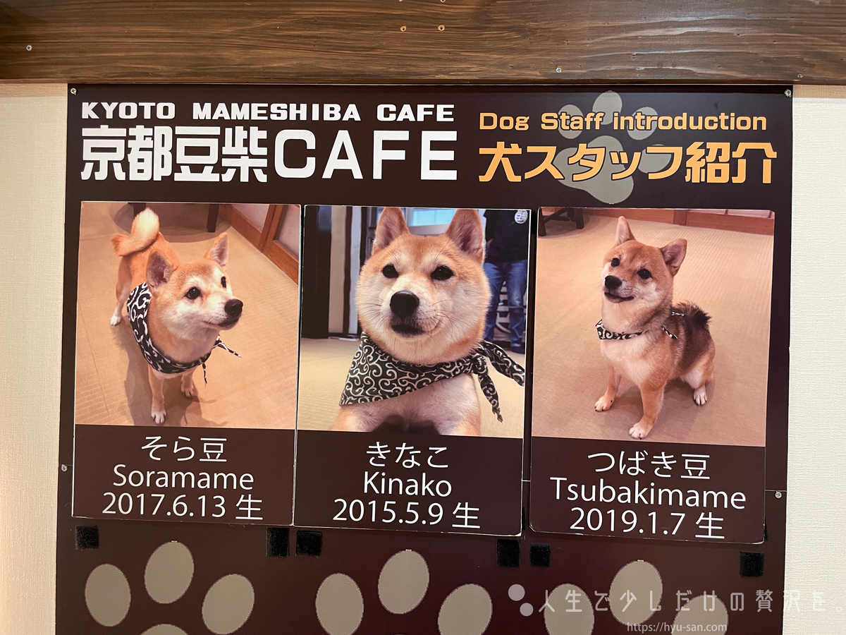 京都 豆 し ば カフェ