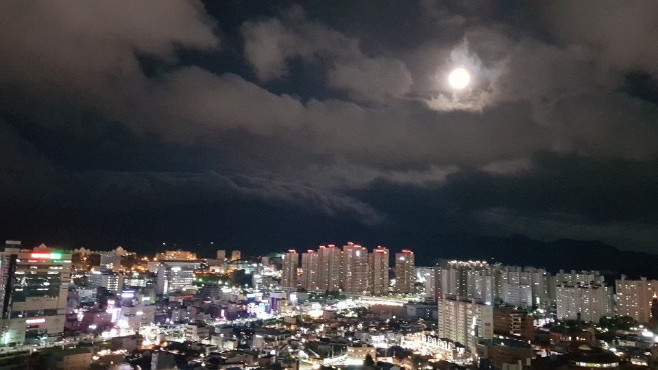 f:id:hyun_nako:20200517155929j:plain