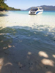 f:id:hzblog:20200210142947j:plain f:id:hzblog:20200210142947j:plain