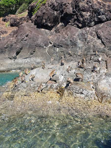 f:id:hzblog:20200210143039j:plain f:id:hzblog:20200210143039j:plain