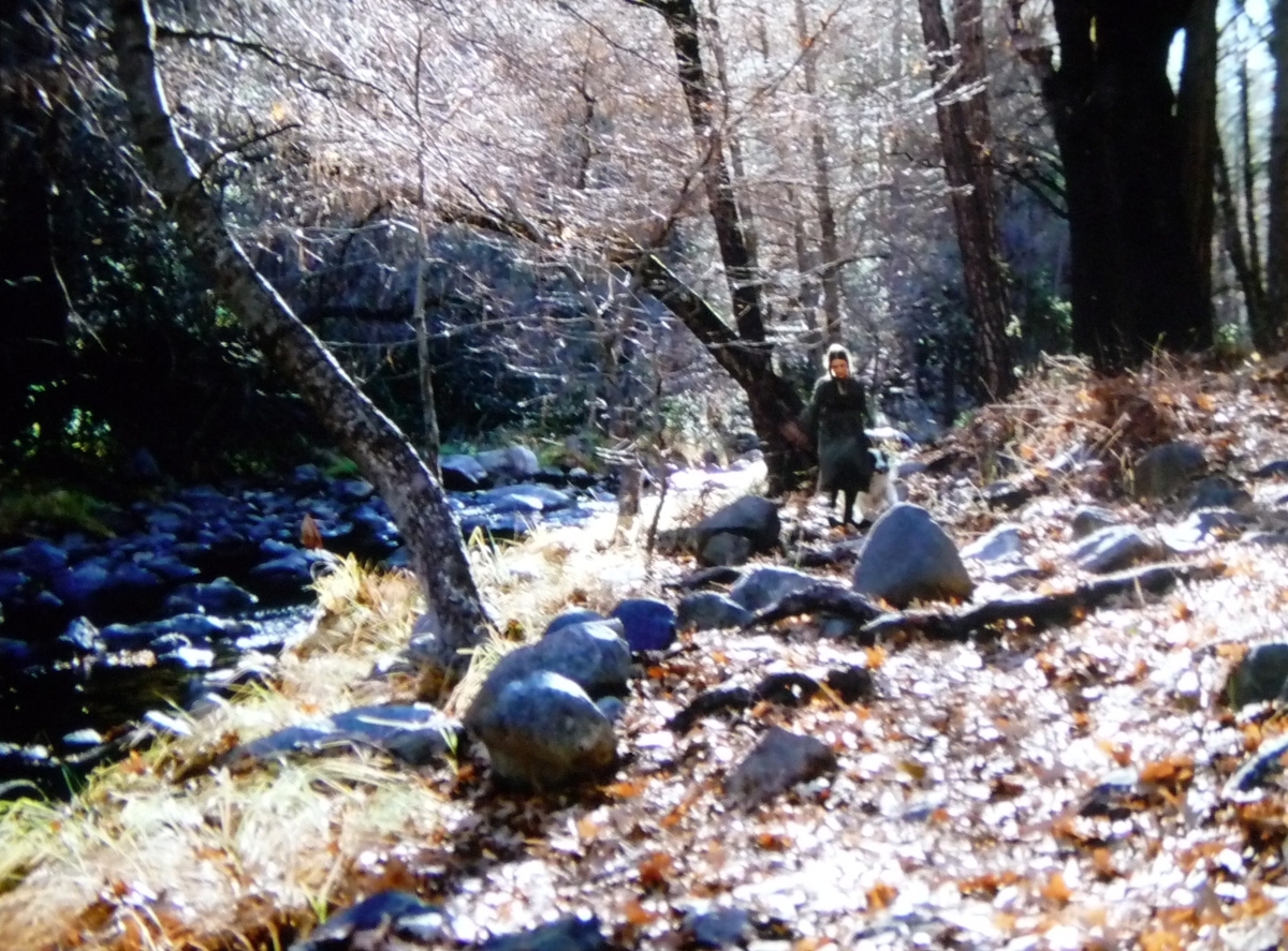 f:id:hze01112:20201114153529j:plain