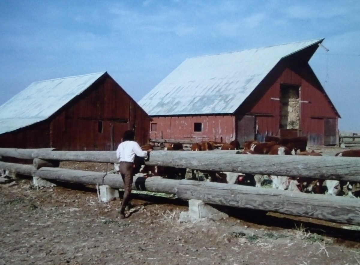 備考】幸せを待つ牧場 - ささやかな日常の記録, image size:1200x883