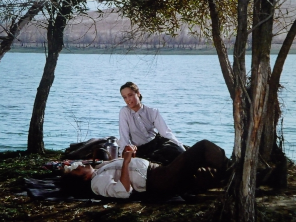 備考】幸せを待つ牧場 - ささやかな日常の記録, image size:1200x900