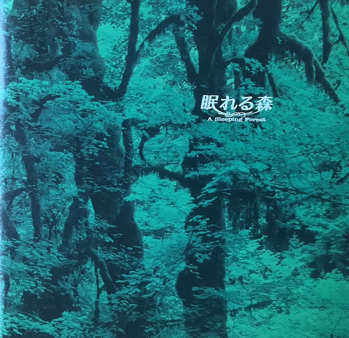 眠れる森 - ドラマ情報・レビュー・評価・あらすじ・動画配信 「非常に 