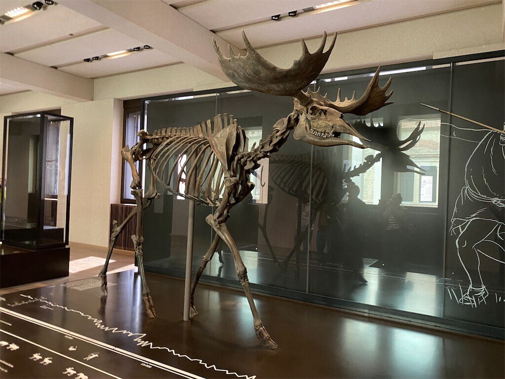 f:id:i--o:20240517170909j:image f:id:i--o:20240517170909j:image