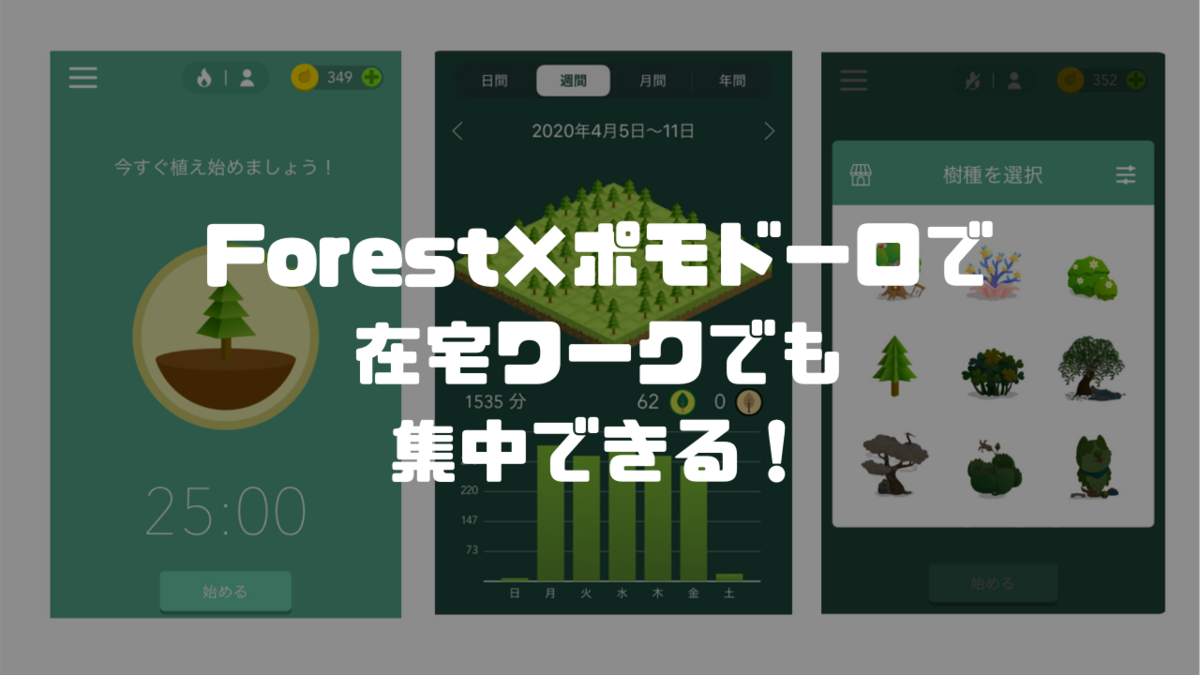 f:id:i-chihiro93115:20200411144326p:plain f:id:i-chihiro93115:20200411144326p:plain