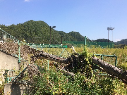 f:id:i-hato-bo:20171031211437j:image:w360