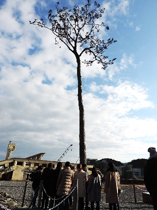 f:id:i-hato-bo:20180526004129p:image:w360