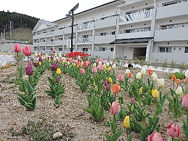 f:id:i-hato-bo:20180526005029p:image:w360